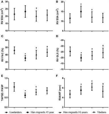 Cardiac Adaptation to Prolonged High Altitude Migration Assessed by Speckle Tracking Echocardiography